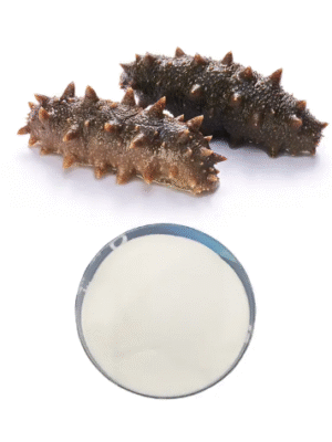 Sea Cucumber Peptide