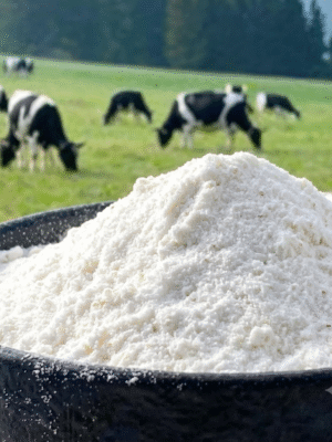 Bovine Hide Collagen Peptide