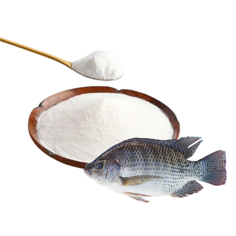 Fish Collagen Peptide