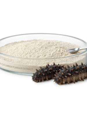 Sea Cucumber Peptide