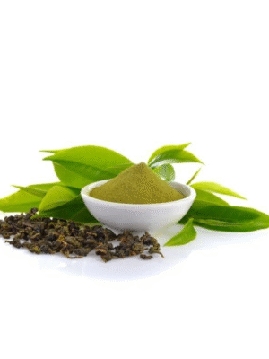 Ginkgo Biloba Extract