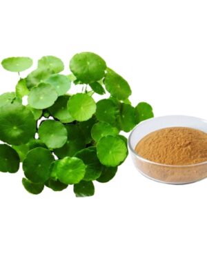 Centella Asiatica Extract