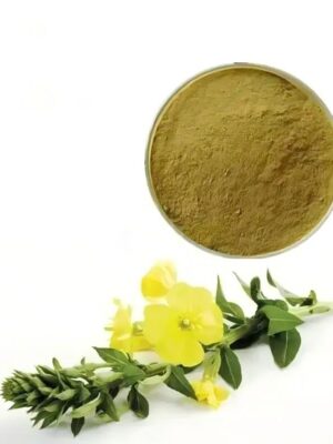 Evening Primrose Extract