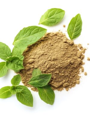 Holy Basil Extract