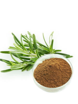 Rosemary Extract