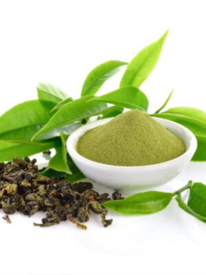 Green Tea Extract