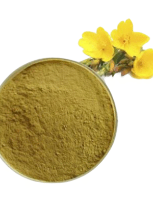 Evening Primrose Extract