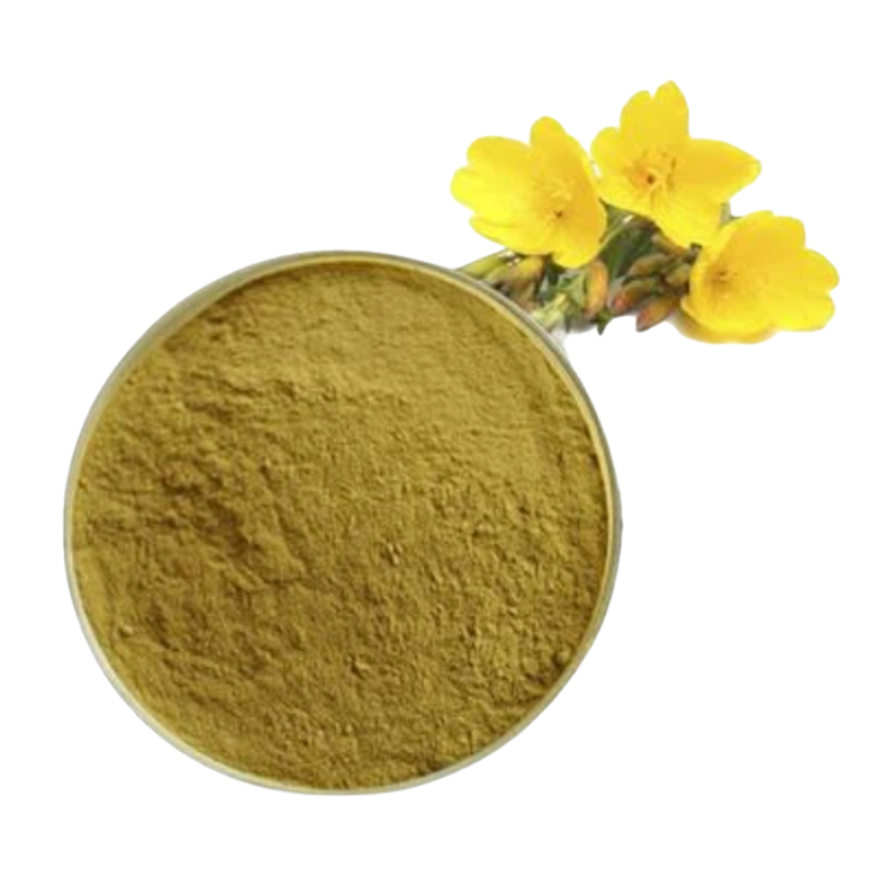 Evening Primrose Extract