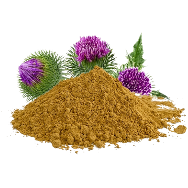Milk Thistle Extract