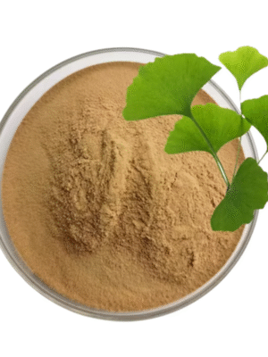 Ginkgo Biloba Extract