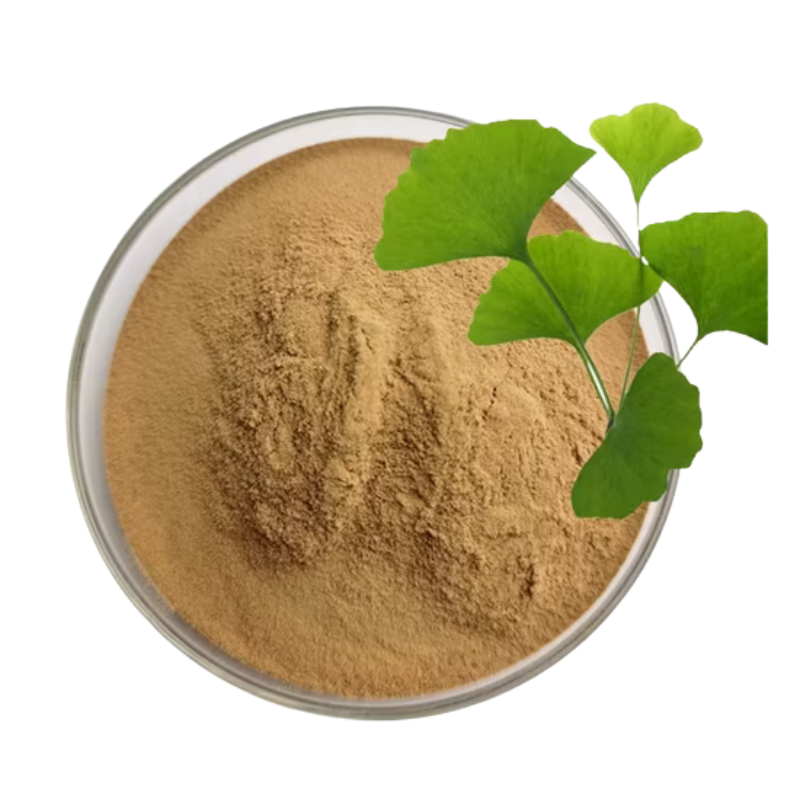 Gingko Biloba Extract