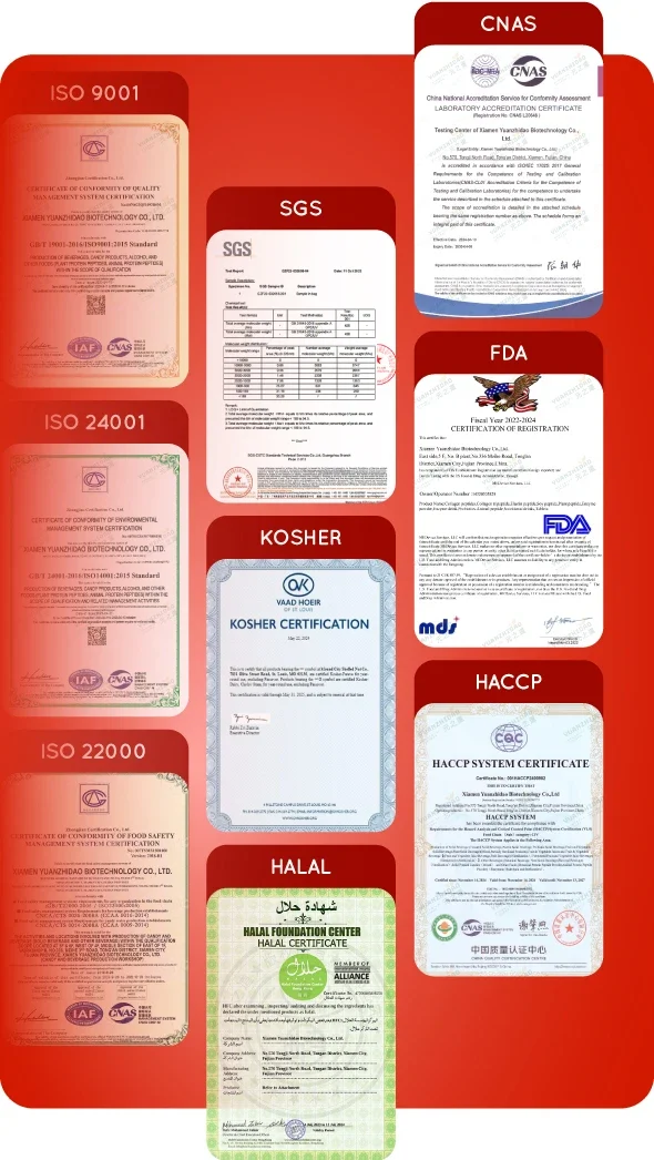 Certification-left Certification-left